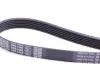 Ремень поликлиновой DAYCO 6PK1462 (фото 2)