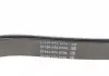 Ремень поликлиновой DAYCO 6PK1610HD (фото 3)