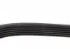 Ремень поликлиновой DAYCO 6PK1610HD (фото 4)