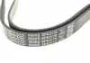 Ремень поликлиновой DAYCO 6PK2170 (фото 2)