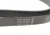Ремень поликлиновой DAYCO 6PK2170 (фото 3)