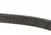 Ремень поликлиновой DAYCO 6PK2170 (фото 4)