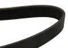 Ремень поликлиновой DAYCO 6PK2250 (фото 2)