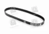 Ремень поликлиновой Dayco 6PK825
