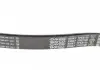 Ремень поликлиновой DAYCO 7PK2120 (фото 2)