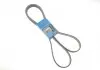 Поликлиновой ремень SKF VKMV6PK2196