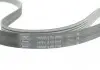 Поликлиновой ремінь SKF VKMV6PK2196 (фото 2)