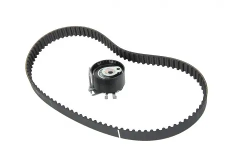 Комплект ременя ГРМ SKF VKMA06002