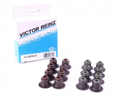 К-т сальников клапанов VICTOR REINZ 12-33876-01