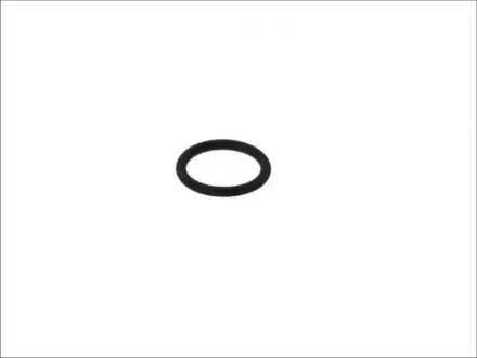 Кільце з про-перетином BOSCH F00RJ01026
