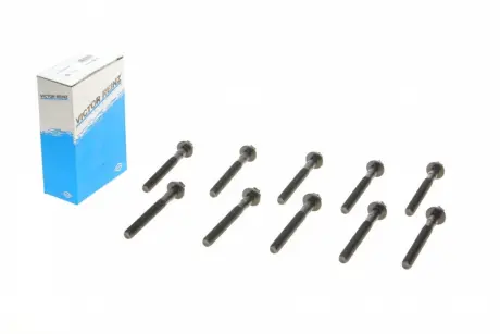 Комплект болтов ГБЦ VICTOR REINZ 14-32109-01