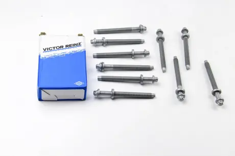 Комплект болтов ГБЦ VICTOR REINZ 14-35774-01
