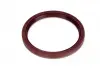 Сальник двигателя REAR FIAT 169A4 / 176A6 / 176A8 / 176B2 / 176B4 / 176B9 / 178B5 / 350A1 74X88X8 (пр-во Elring) 069.600