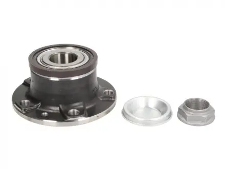 Подшипник ступицы NTN SNR SNR NTN R159.51