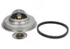Термостат Vernet VERNET TH5231.83J