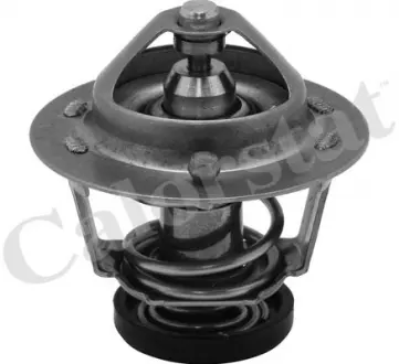 Термостат HONDA ACCORD / CIVIC / ROVER 200/400/600 -99 Vernet TH6599.78J