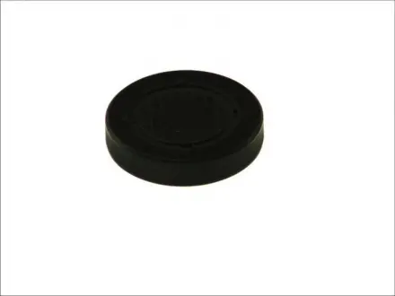 Заглушка розподільчого валу DACIA/OPEL/RENAULT 1,6/2,0 16V d 42,5 mm CORTECO 21653091
