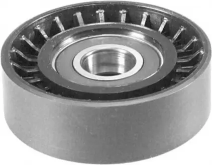 Ролик модуля натягувача ременя MAGNETI MARELLI 331316170654