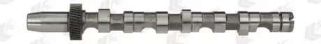 Распредвал VAG 2.5TDI AKN / AFB / AKE / AYM / BFC IN (CYL 4-6) AE CAM701