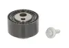 Натяжной ролик, ремня ГРМ CITROEN (пр-во Ina) 531 0264 10