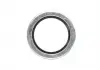 Прокладка сливной горловины двигателя PSA / RENAULT / VOLVO 16.7X24X1.5 (пр-во Elring) 834.823