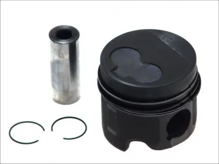 Поршень (4) AUDI / VW 79.5 1.9TD AAZ / ABL NURAL 87-990100-10