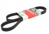 Ремень поликлиновой GATES 6PK1520