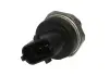 Датчик давления топлива 1.9dCi Trafic / Kangoo / Megane 01- / Laguna 99- BOSCH 0 281 002 909 (фото 6)