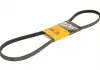 Ремінь генератора 4PK1102 Ducato / Jumper / Boxer / Daily 3.0HDi 06- Contitech 4PK1102 ELAST (фото 4)