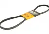 Ремінь генератора 4PK1102 Ducato / Jumper / Boxer / Daily 3.0HDi 06- Contitech 4PK1102 ELAST (фото 5)