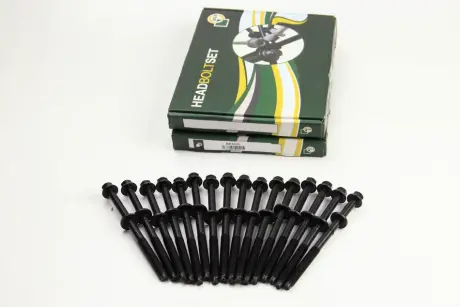 Болти головки блоку Ford Mondeo 2.5 / 3.0i 00- (16 шт.) BGA BK5322