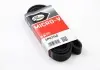 Ремень генератора Jumpy 1.9D / 2.0HDI -07 (+ AC) Gates 6PK1740 (фото 2)