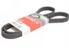 Ремень генератора Berlingo / Scudo 1.9D (1868) Gates 6PK1428 (фото 5)