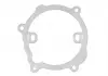 Прокладка водяного насоса Master / Trafic 2.5dCi 03- RENAULT 8200265416 (фото 3)