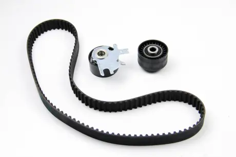 Комплект ГРМ Scudo / Expert 2.0 MJTD / HDi 07- Peugeot/Citroen 0831.T5