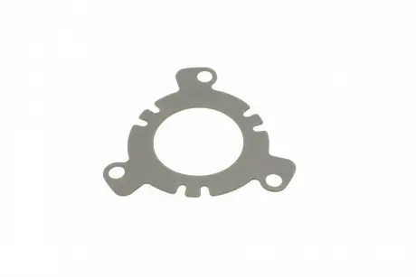 Прокладка ТНВД Jumpy / Expert 2.0HDi 00- / 07- Peugeot/Citroen 1927.24