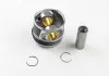 Поршень T5 1.9TDI (79.51mm STD) (3-4 цил.) MAHLE KNECHT 030 87 00 (фото 1)