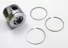 Поршень Master / Movano III 2.3 dCi 10- RENAULT 120A17400R (фото 4)