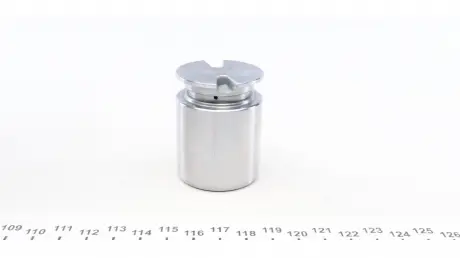 Поршень супорта заднього Citroen C4 04-11/Skoda Octavia II/VW Golf VI (38x49mm)(Bosch) FRENKIT P384901