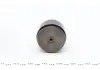 Поршень суппорта LAND ROVER RANGE ROVER SPORT (LS) 05- P463201