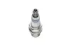 Свеча зажигания FR7DPP30X 1,1 PLATIN 0242236616