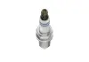 Свеча зажигания FR8NPP30W 0,9 PLATIN 0242230602