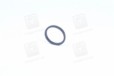 Уплотнительное кольцо термостата PARTS-MALL P1E-C003 (фото 1)