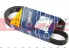 Ремень поликлиновой 5 PK 925 050 005 0925