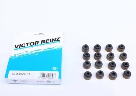 Сальники клапанів (комплект) VICTOR REINZ 12-54024-01