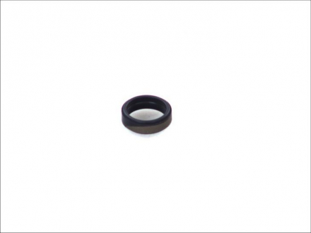 Уплотнительное кольцо форсунки BOSCH 2430223003 (фото 1)
