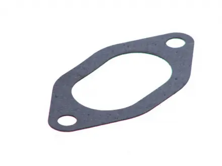Прокладка коллектора IN FIAT 8140.63 / 8140.07 / S8U (4) Payen JC054
