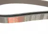 Пас приводной с длиной окружности более 180 см, но не более 240см Gates 6PK2305 (фото 3)
