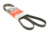 Ремень поликлиновый Gates 6PK1613