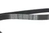 Ремень П-клиновой DAYCO 6PK2063 (фото 4)